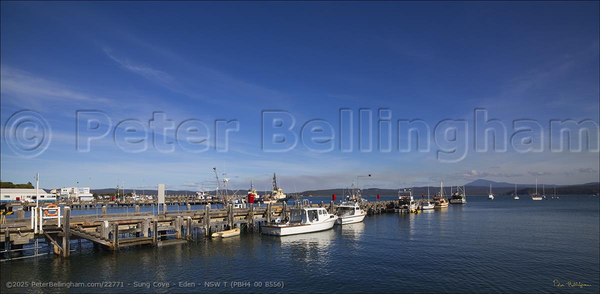 Peter Bellingham Photography Sung Cove - Eden - NSW T (PBH4 00 8556)